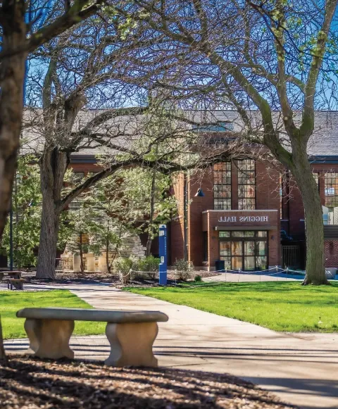 Bench overlooking green grass across from Higgins Hall.